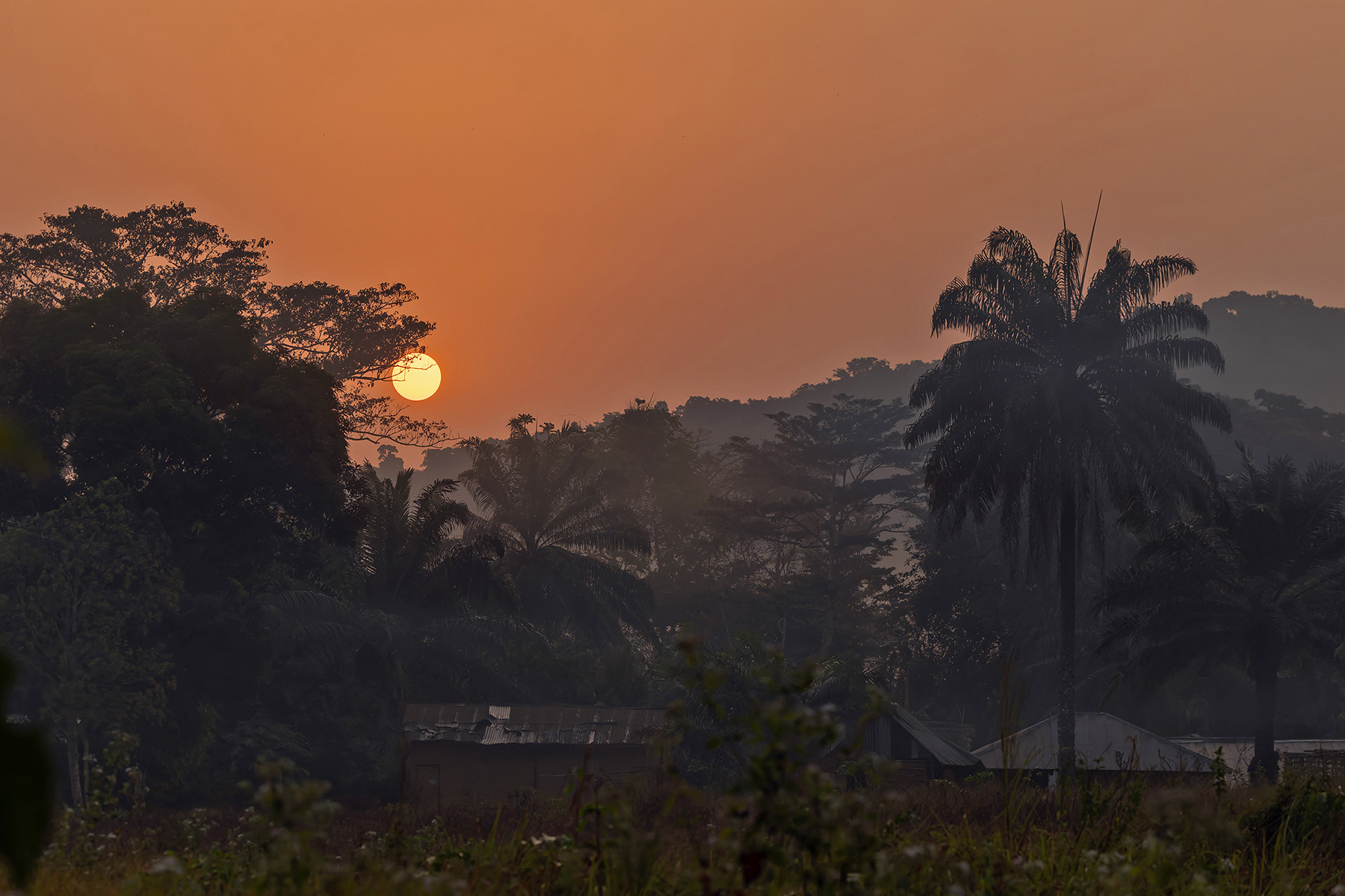 Gola Sunrise (image by Pete Morris)
