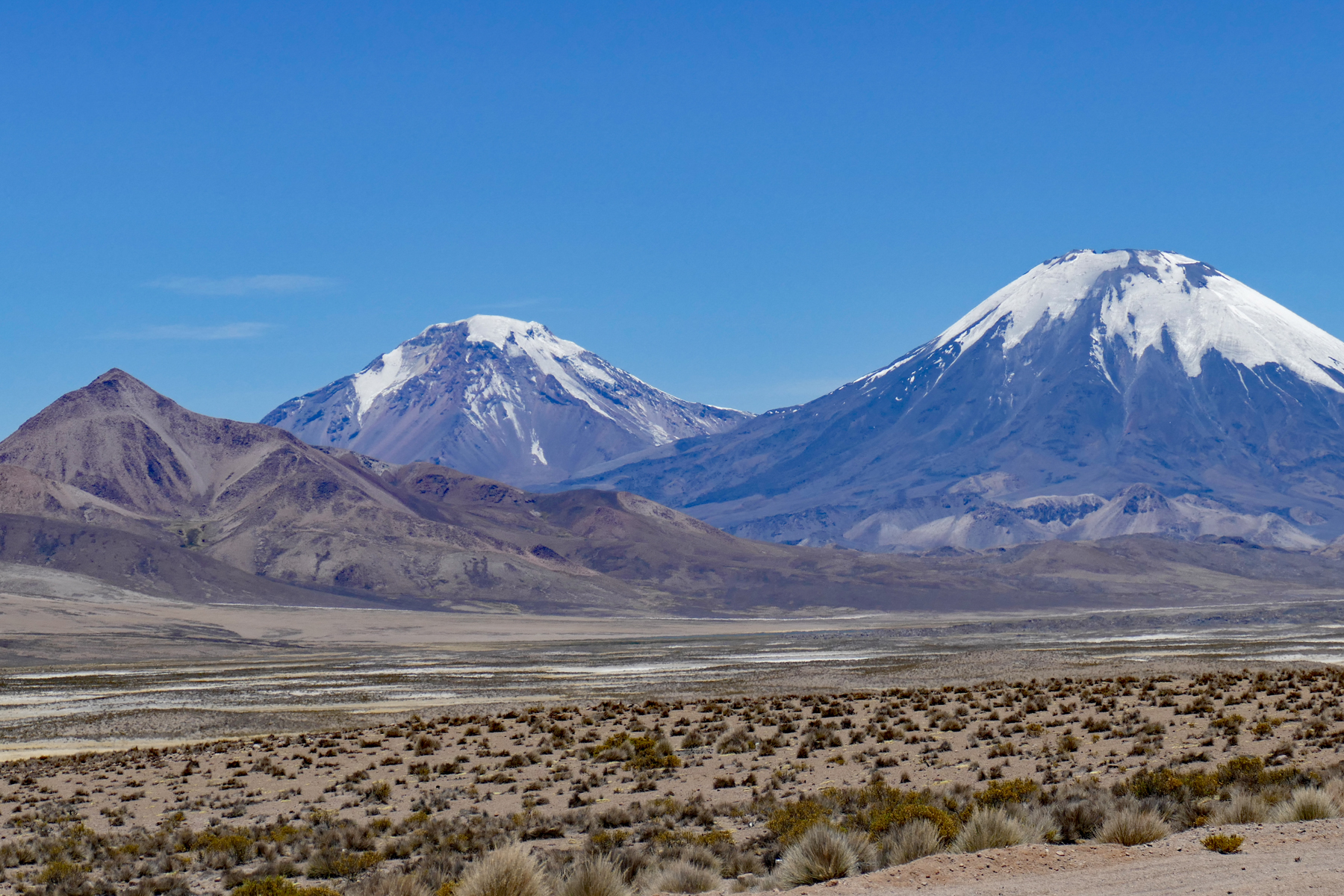Lauca National Park (image by Mark Pearman)