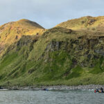 Lusitania Bay Macquarie Island New Zealand (image by Nik Borrow)
