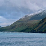 Macquarie Island (image by Nik Borrow)