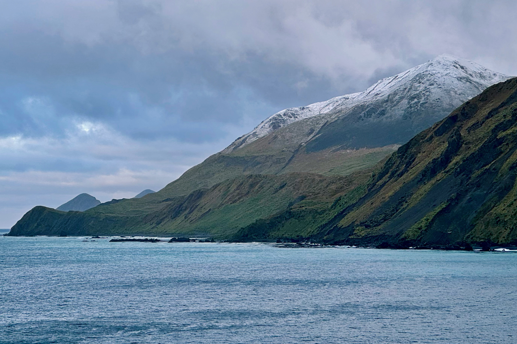 Macquarie Island (image by Nik Borrow)