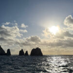 Snares Island (image by Nik Borrow)