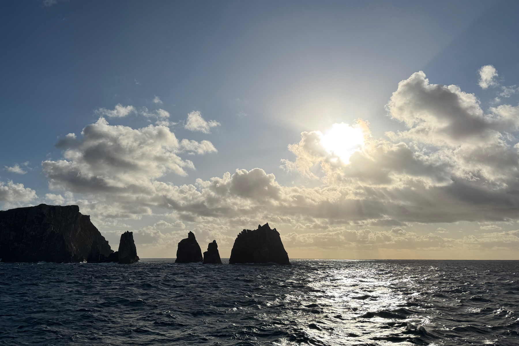 Snares Island (image by Nik Borrow)