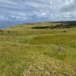 Sweetwater, Chatham Island (image by Nik Borrow)