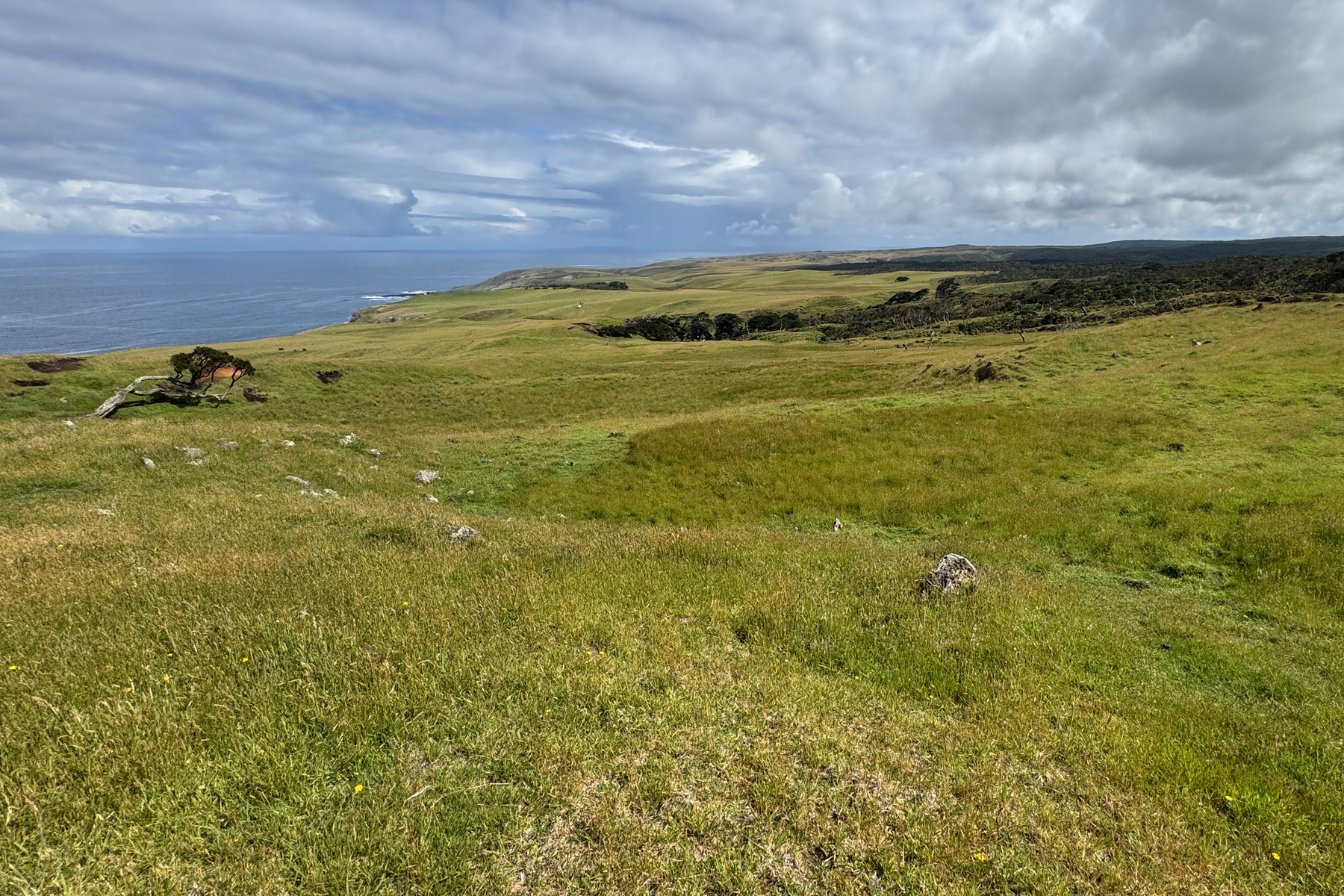 Sweetwater, Chatham Island (image by Nik Borrow)