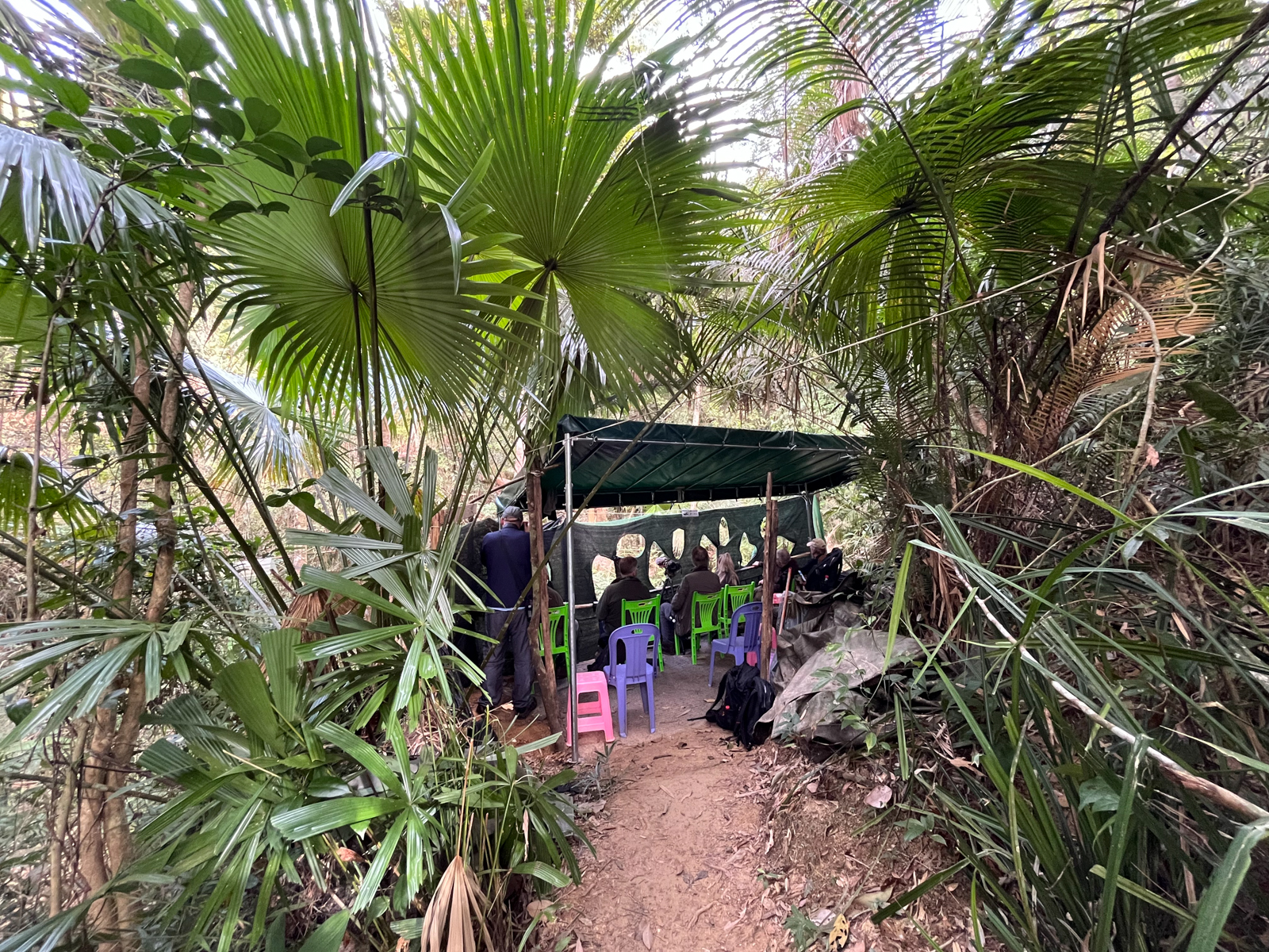 Hainan Bird Hide (image by Craig Robson)