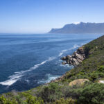The spectacular Cape coast (image by Mark Beaman)