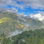 Forest near Mount Polis (image by Craig Robson)