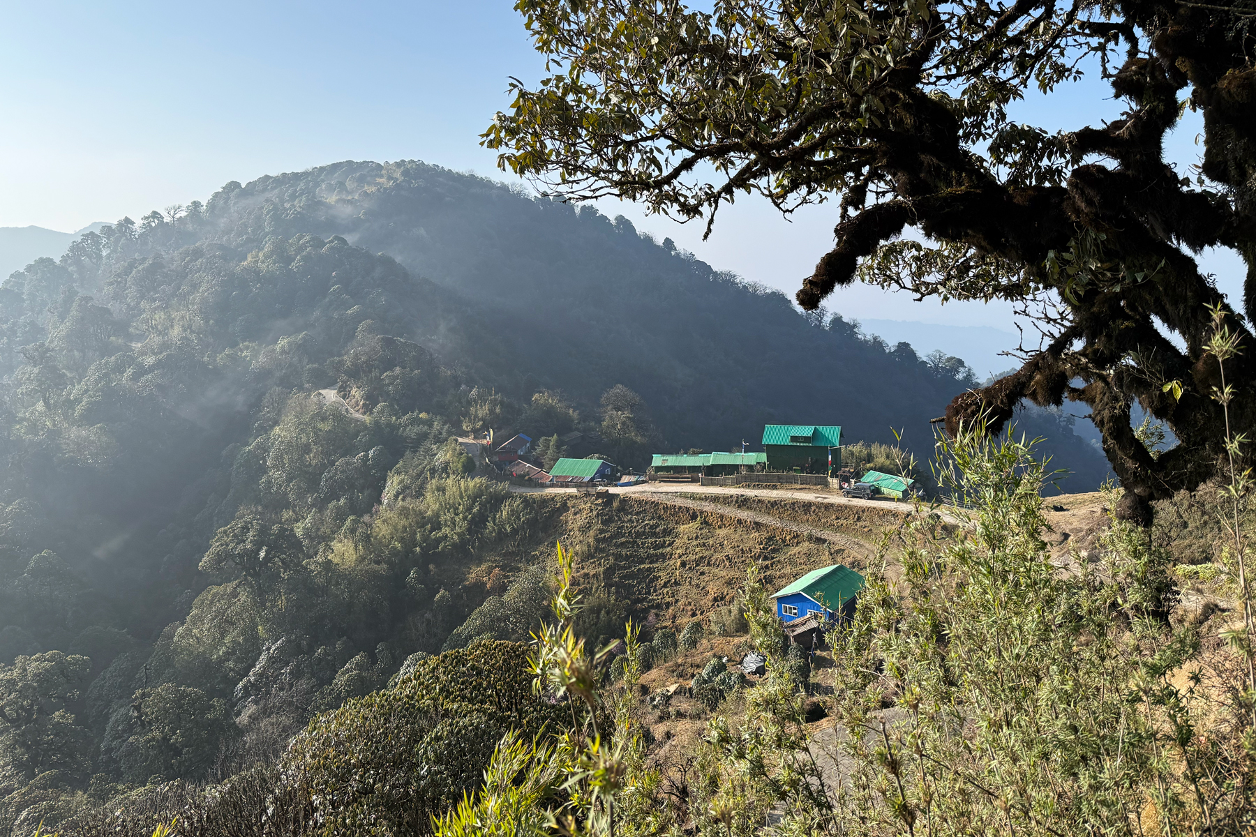 Habre's Nest (image by Mike Watson)