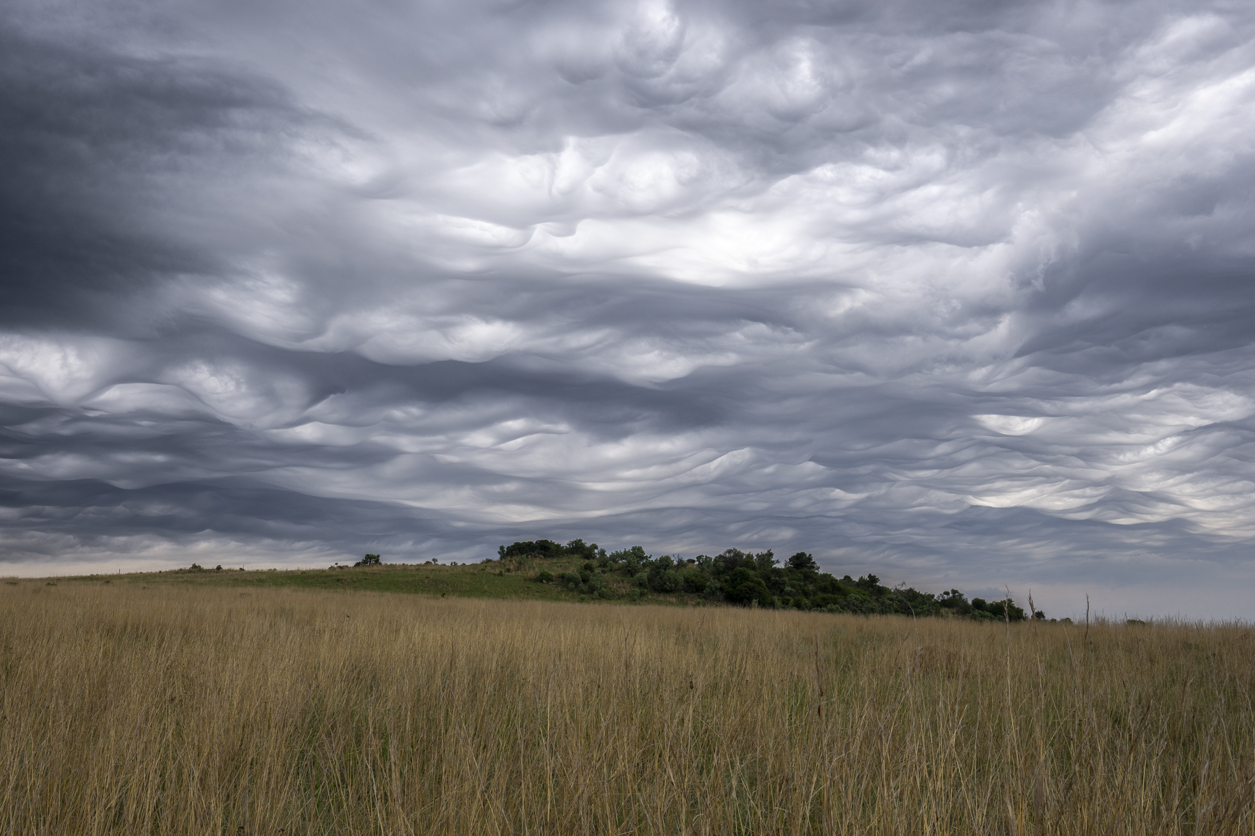 Strange 'wavy' clouds near Heidelberg (image by Mark Beaman)