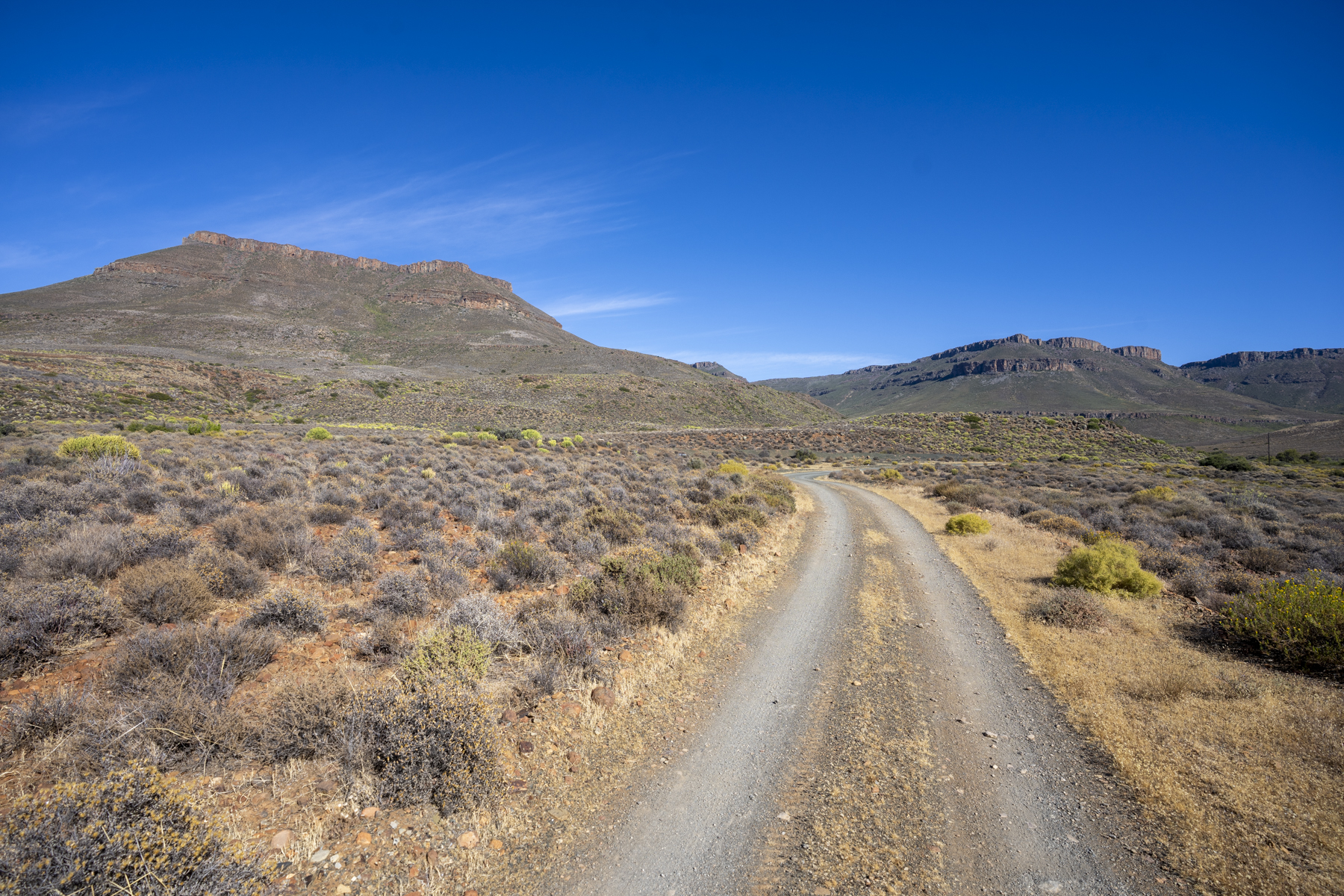 Karoo landscape (image by Mark Beaman)
