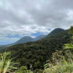 Mount Kitanglad Range (image by Craig Robson)