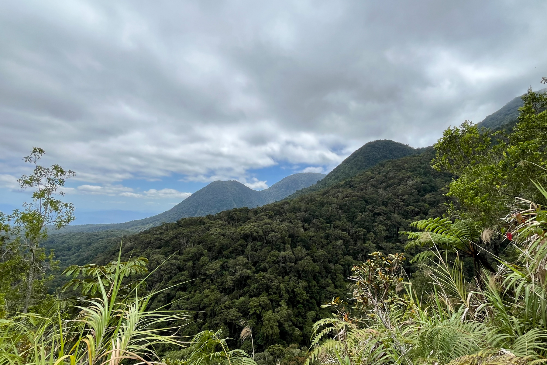 Mount Kitanglad Range (image by Craig Robson)
