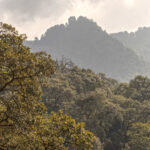 Mt Phulchowki (image by Mike Watson)