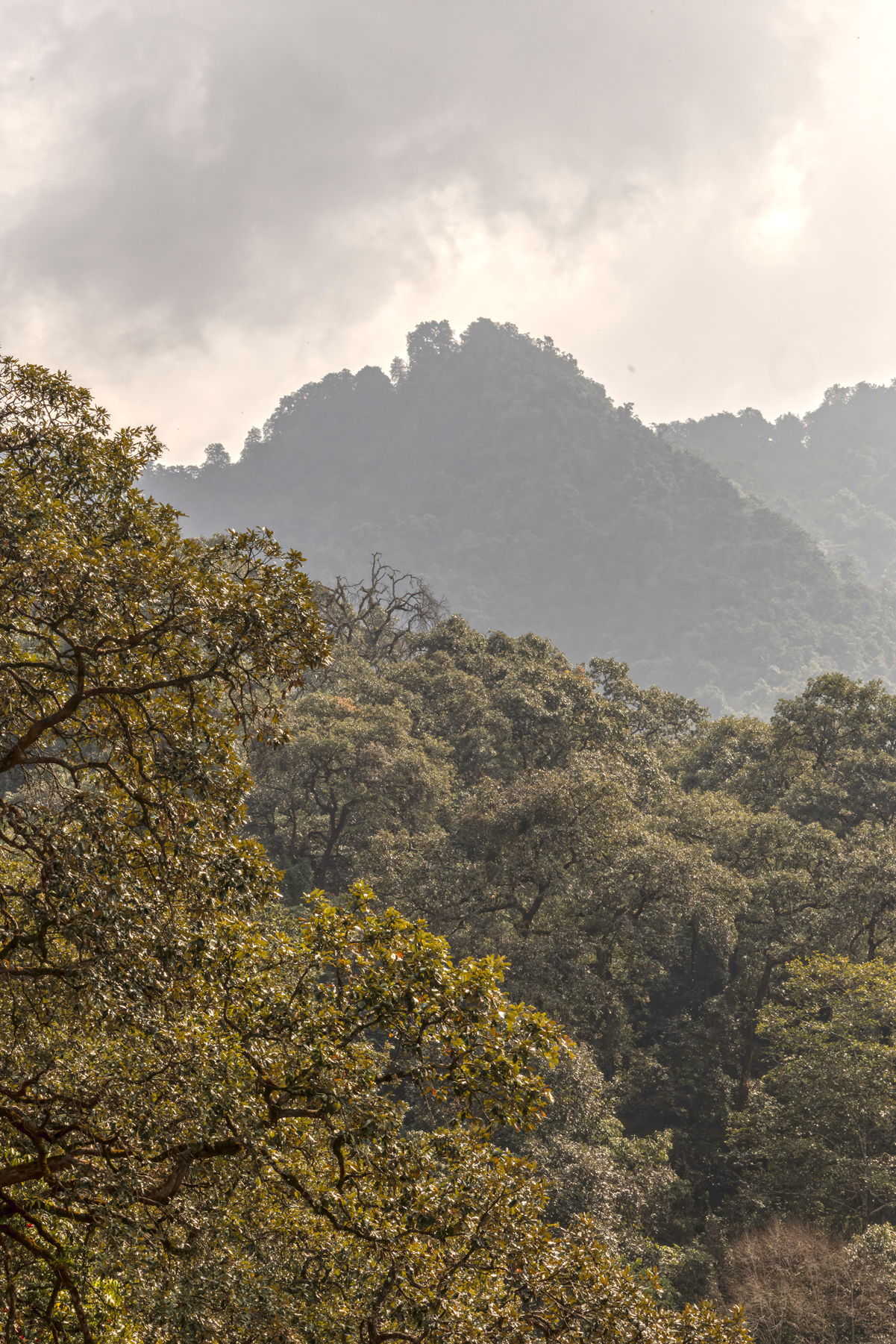 Mt Phulchowki (image by Mike Watson)
