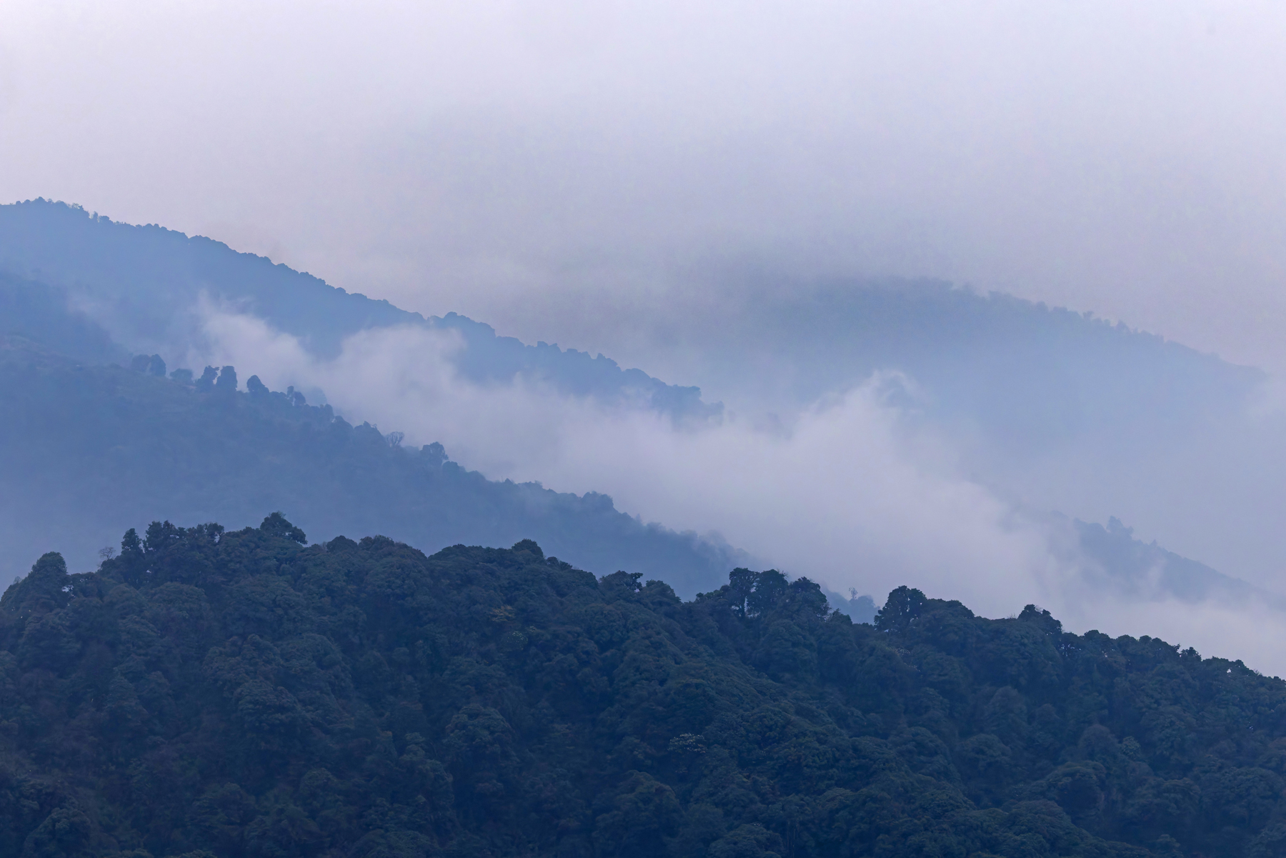 Singalia Ridge (image by Mike Watson)