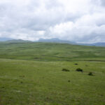 Wakkerstroom grasslands (image by Mark Beaman)