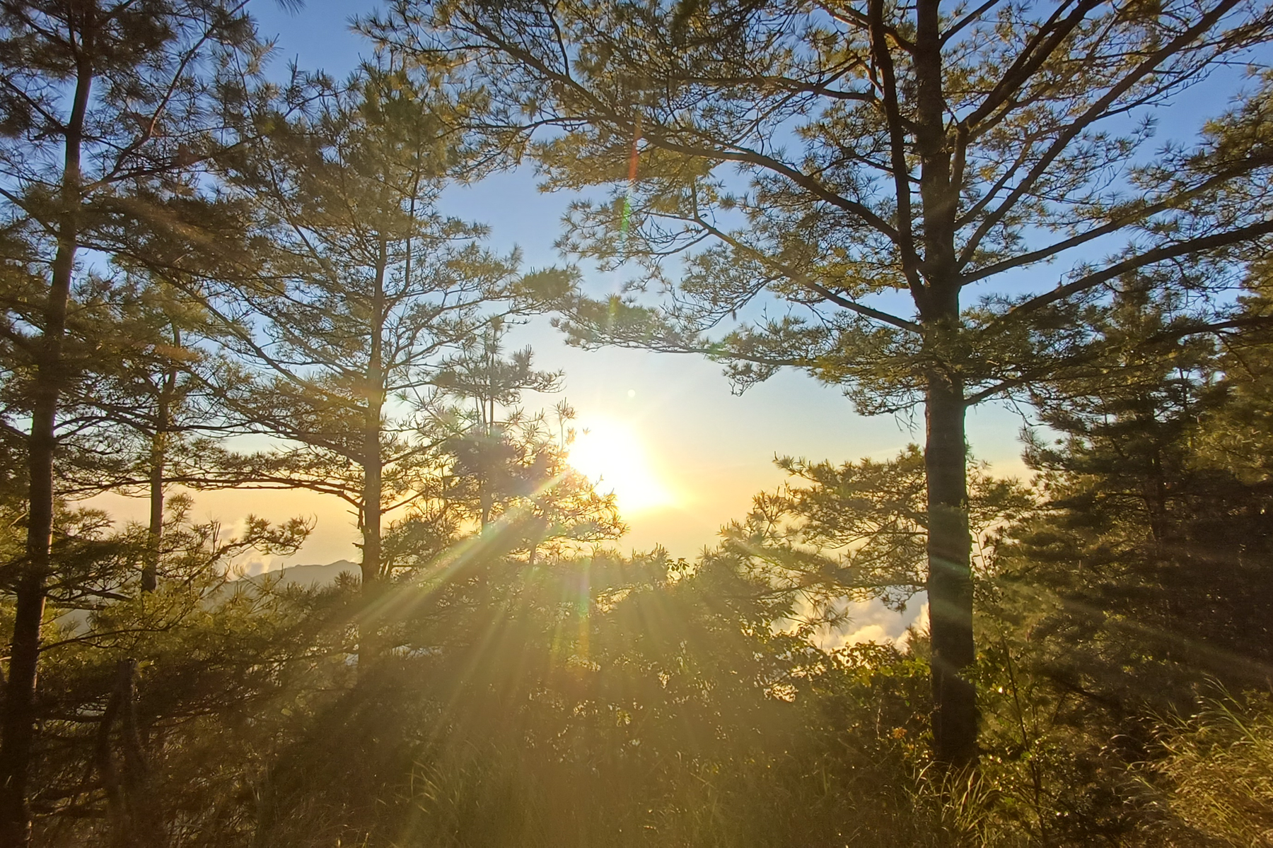 Dasyueshan (image by Vincent van der Spek)