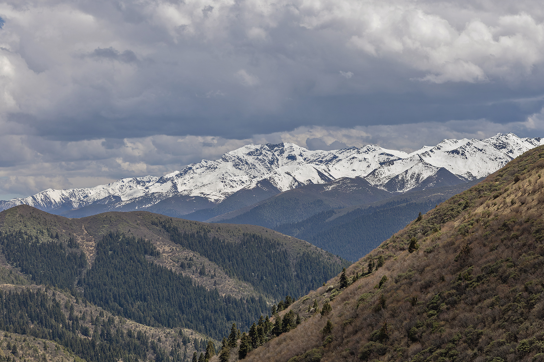 Mengbi Shan (image by Pete Morris)