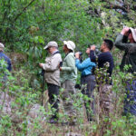 Group in action (image by Hannu Jännes)