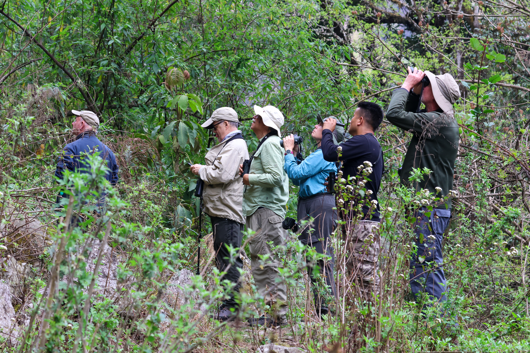 Group in action (image by Hannu Jännes)