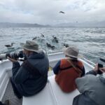 Kaikoura Pelagic (image by Brent Stephenson)