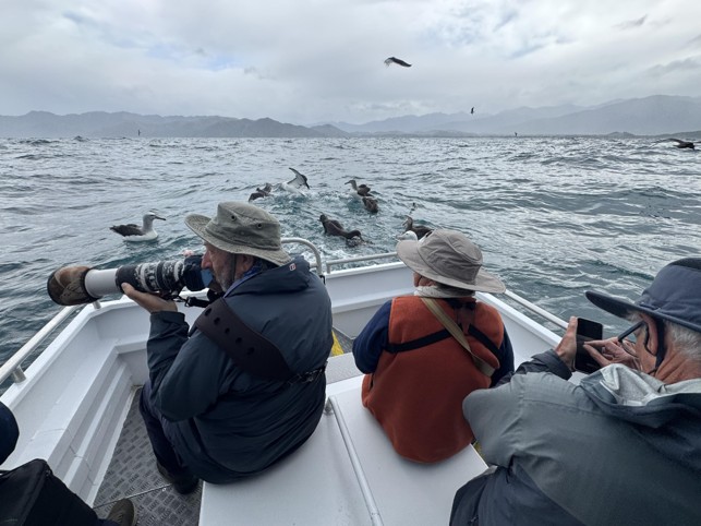 Kaikoura Pelagic (image by Brent Stephenson)