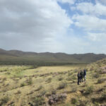 Kherlen River Valley (image by Hannu Jännes)