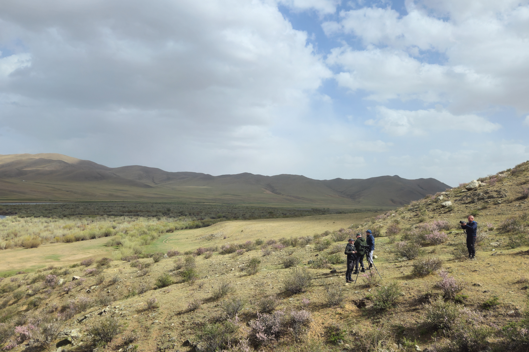 Kherlen River Valley (image by Hannu Jännes)
