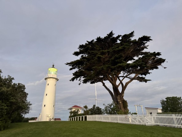Tiritiri Matangi Lighthouse (image by Brent Stephenson)