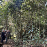 Birding at Rondon Ridge (image by Dáni Balla)