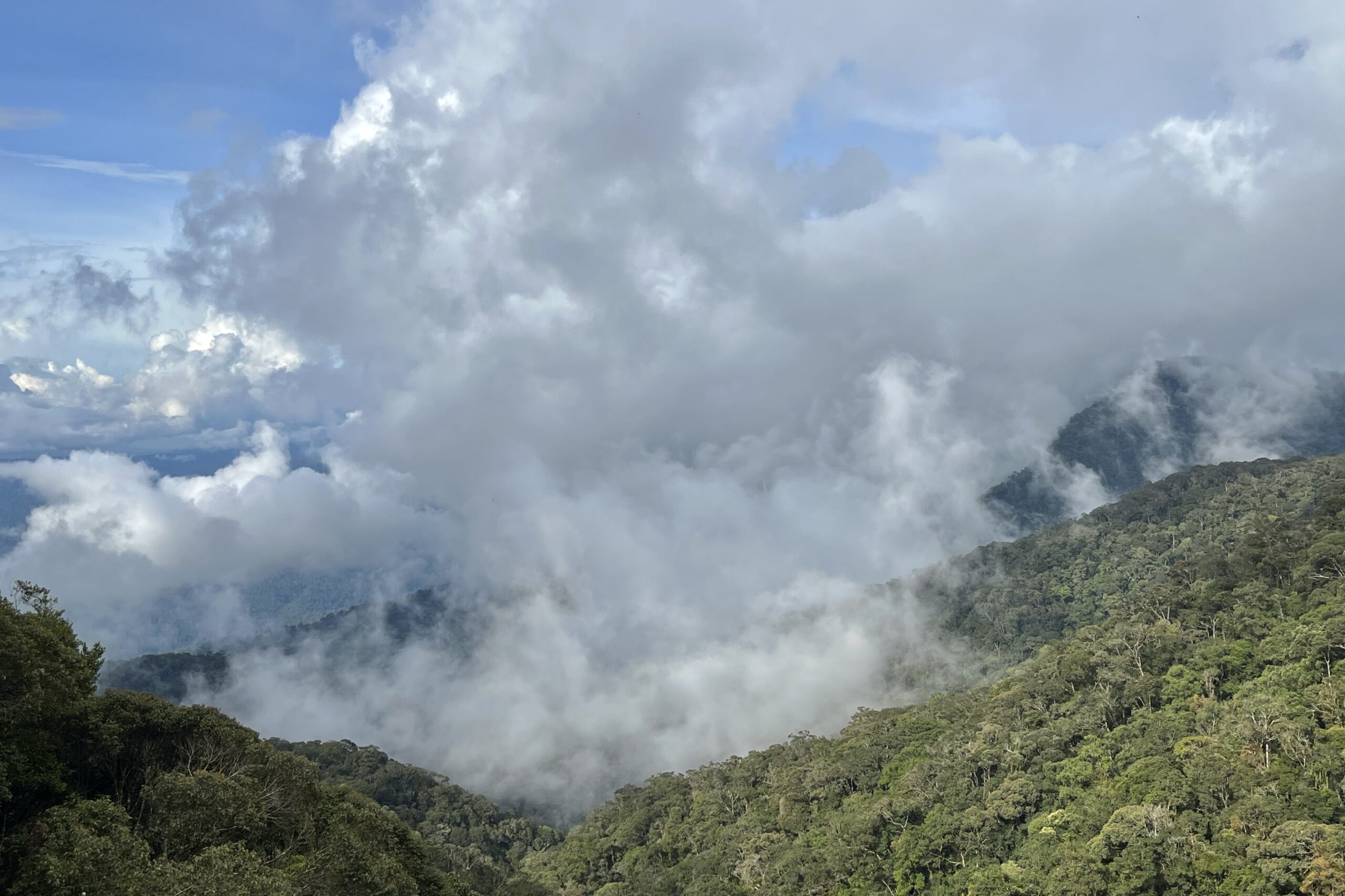 Gunung Leuser (image by Craig Robson)