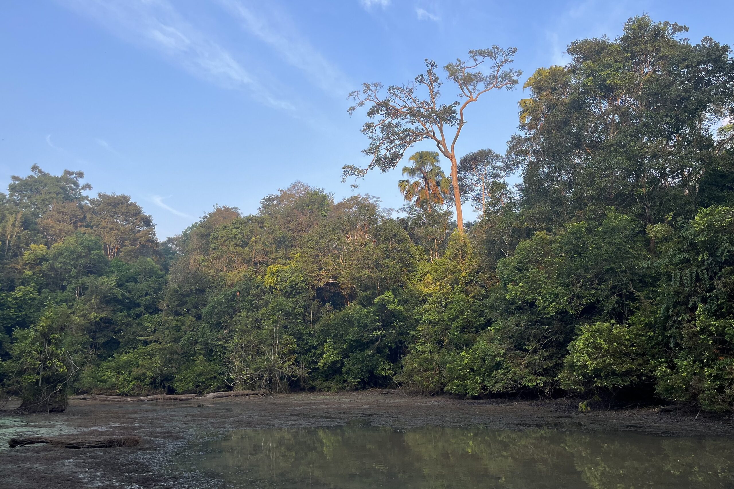 habitat of White-winged Duck (image by Craig Robson)