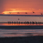 Boon Tsagaan Nuur at sunset (image by Mark Beaman)