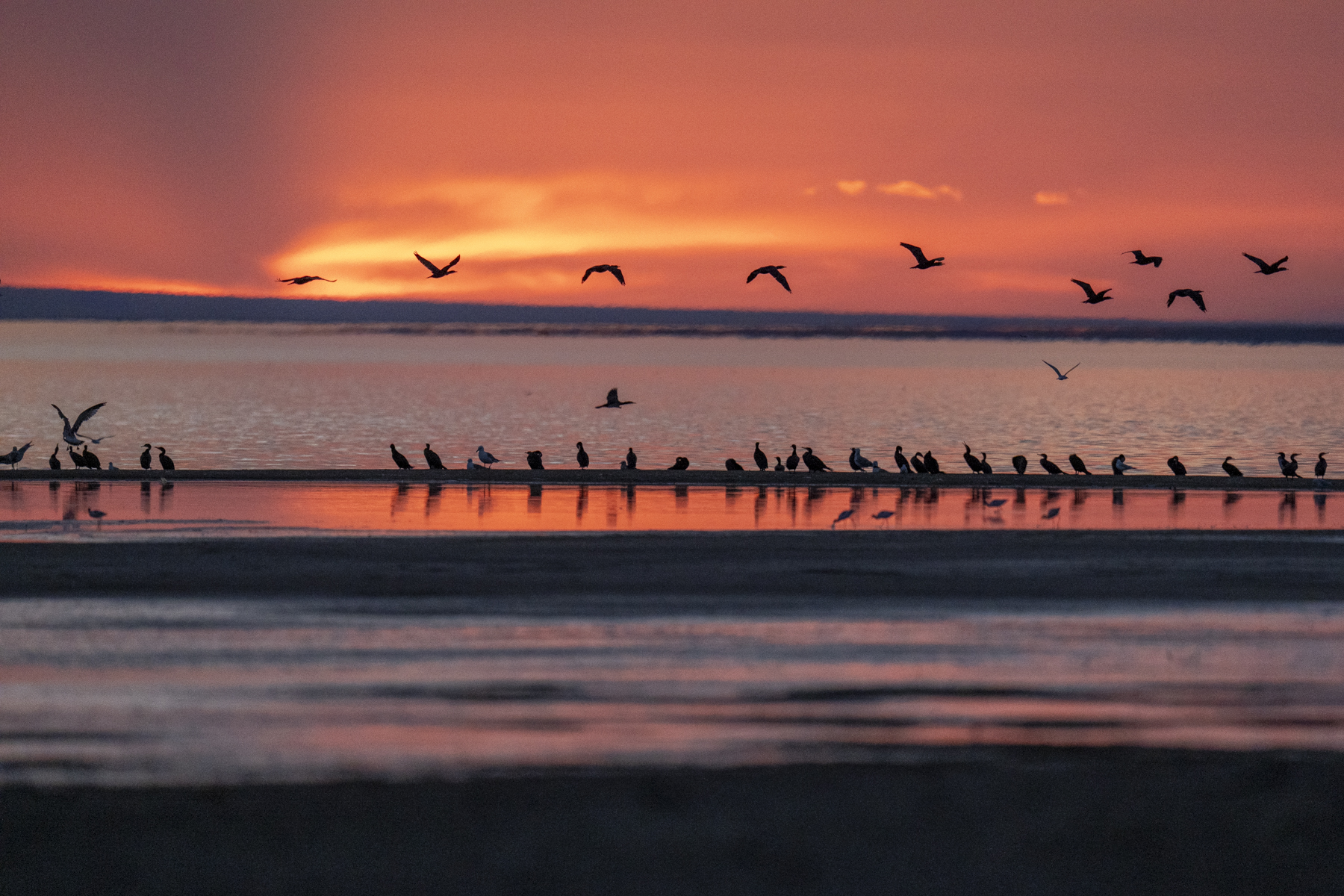 Boon Tsagaan Nuur at sunset (image by Mark Beaman)