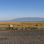 The nomadic life lives on in Mongolia (image by Mark Beaman)