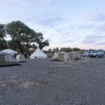 Our camp in the Gobi (image by Mark Beaman)