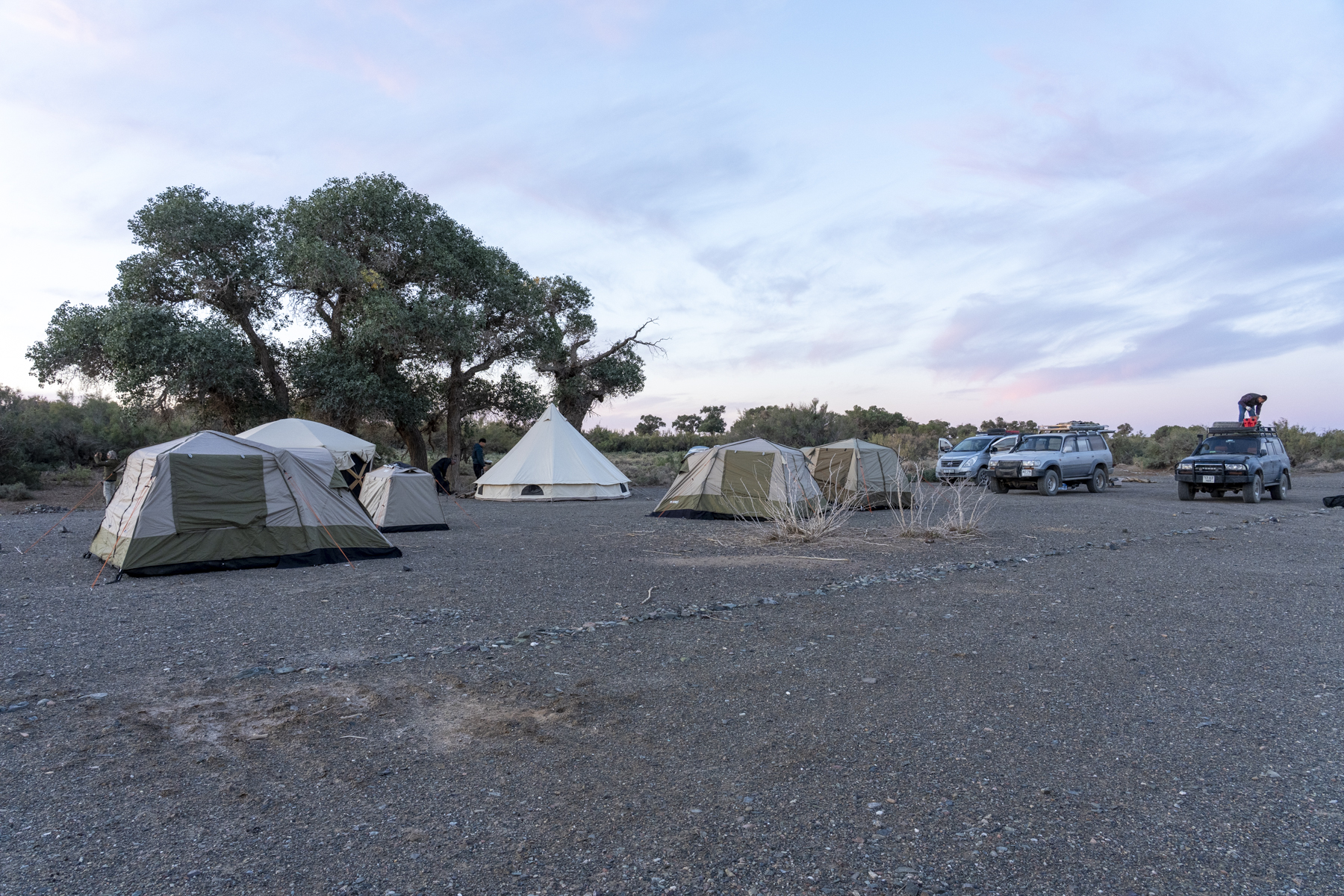 Our camp in the Gobi (image by Mark Beaman)