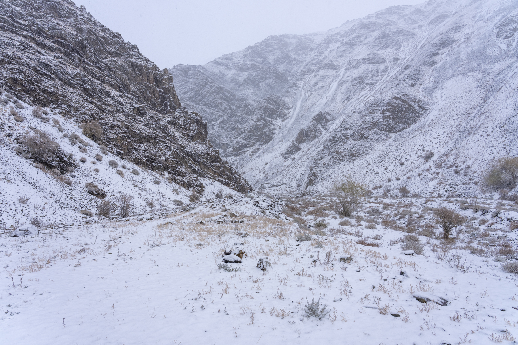Jargalant scenery (image by Mark Beaman)