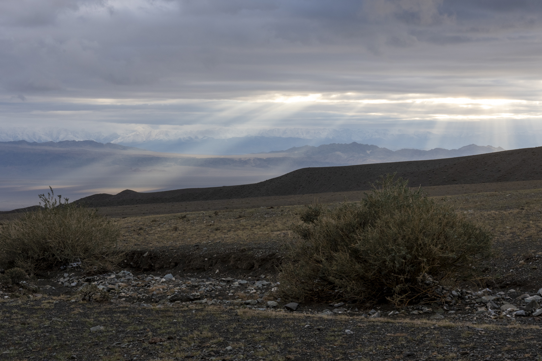 Jargalant scenery (image by Mark Beaman)