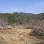 Jiangxi hill country (image by Mark Beaman)