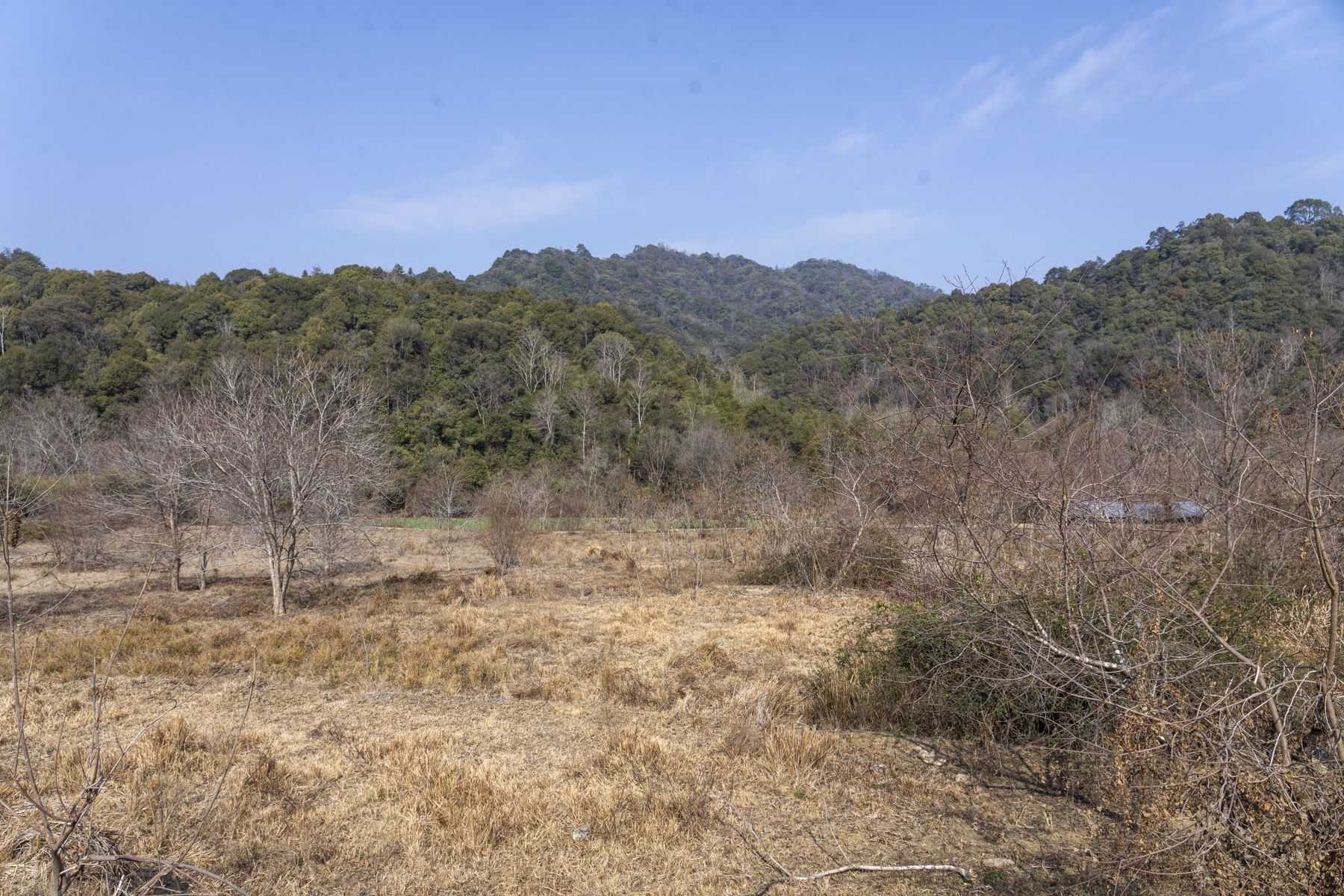 Jiangxi hill country (image by Mark Beaman)