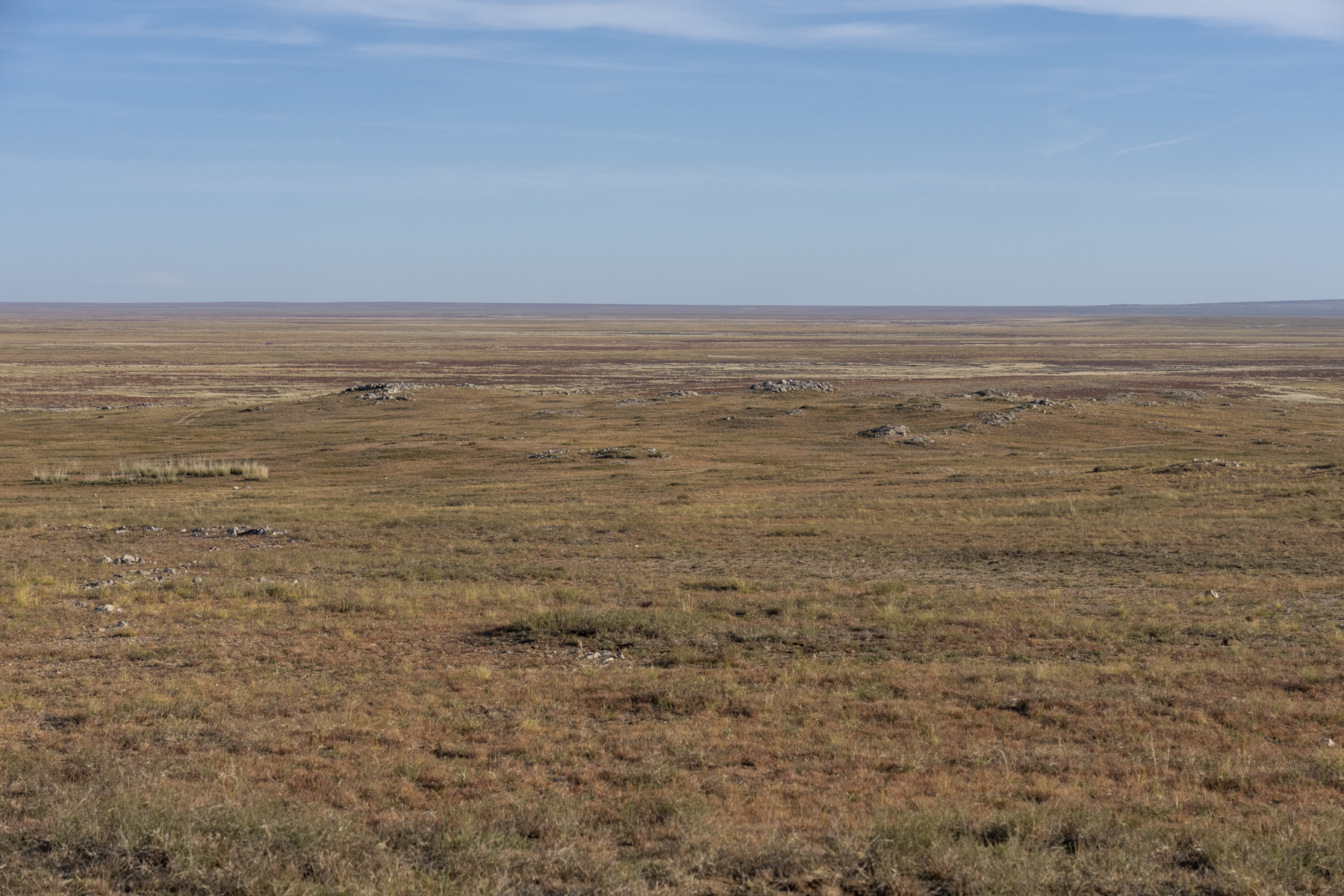 The Khalzan steppe (image by Mark Beaman)