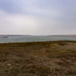Part of the vast Poyang lake complex (image by Mark Beaman)
