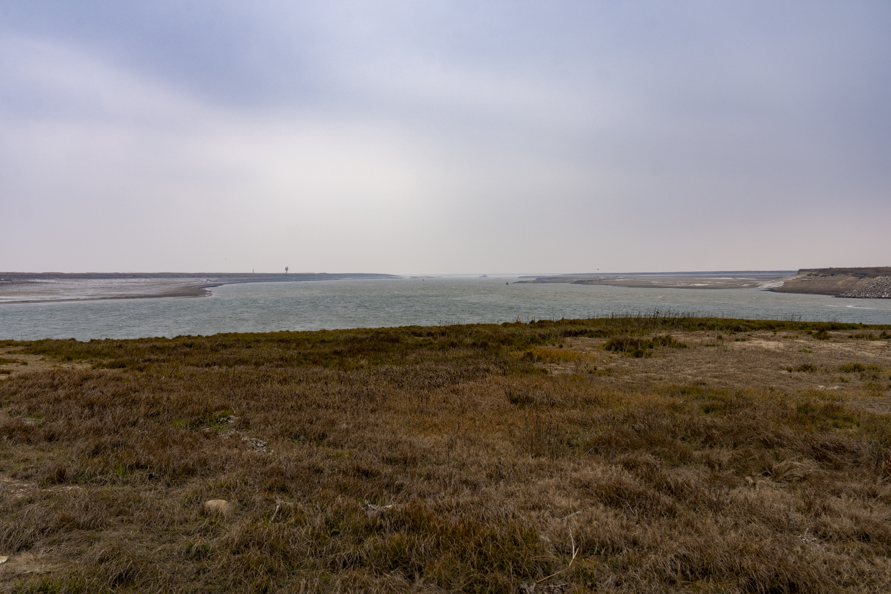 Part of the vast Poyang lake complex (image by Mark Beaman)
